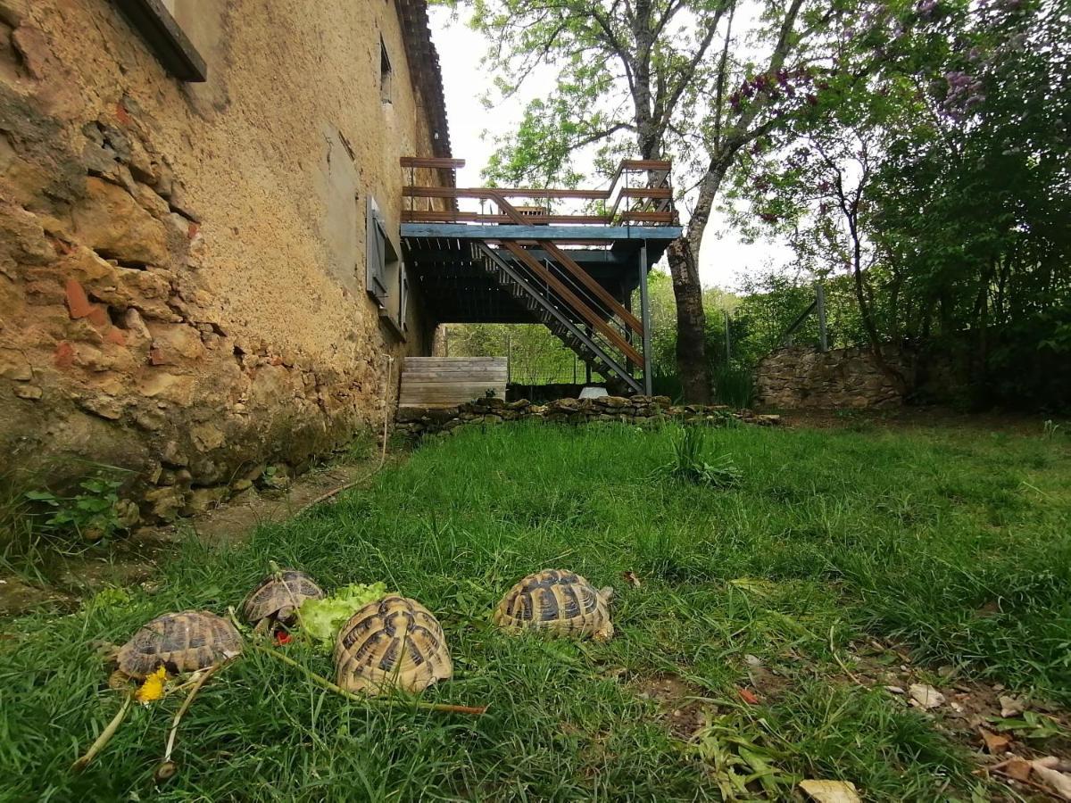 Du Fassac Holiday home *
